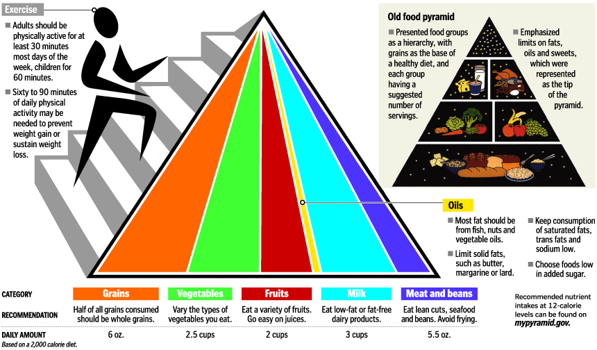 New Food Pyramid Coming June 2, USDA Says KDT Optometry Excellence